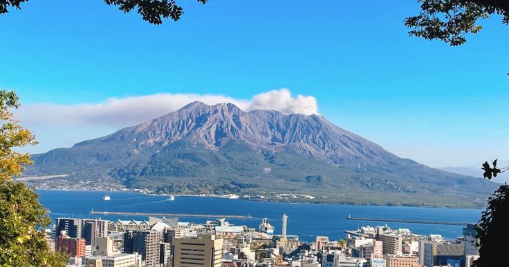 鹿児島県の取り組み 